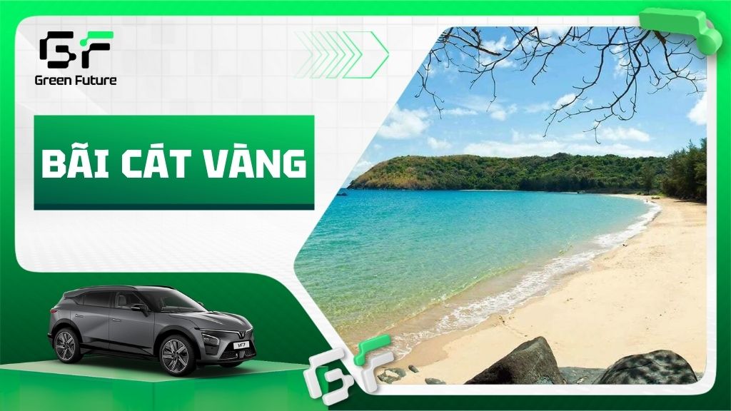 Bãi Cát Vàng Đà Nẵng: Thiên đường biển hoang sơ tuyệt đẹp