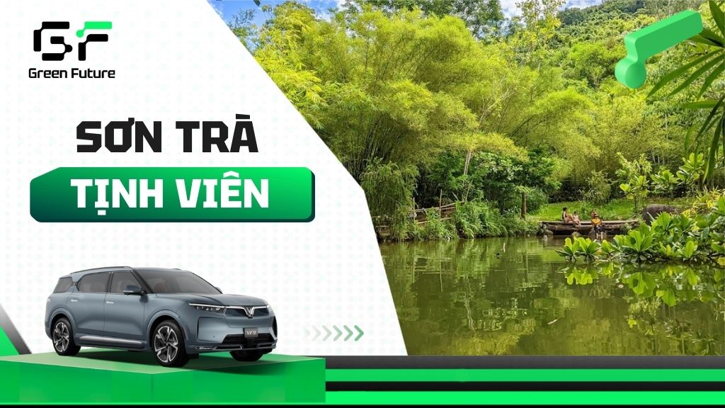 Khám Phá Sơn Trà Tịnh Viên – Chốn An Yên Không Nên Bỏ Lỡ