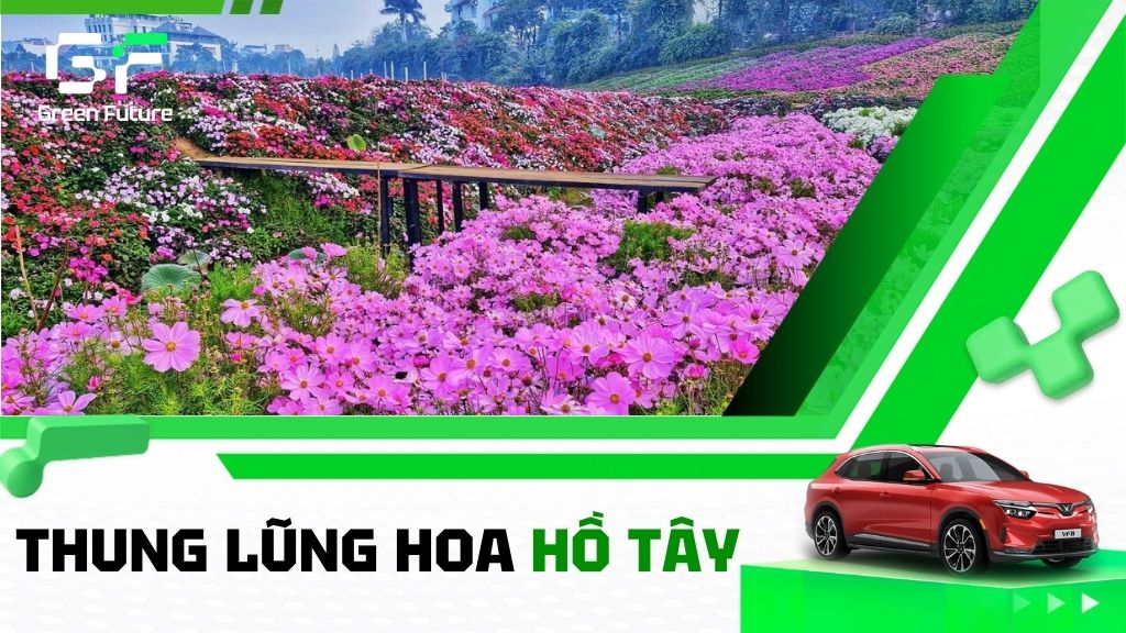 Thung lũng hoa Hồ Tây: Điểm check-in rực rỡ giữa Hà Nội